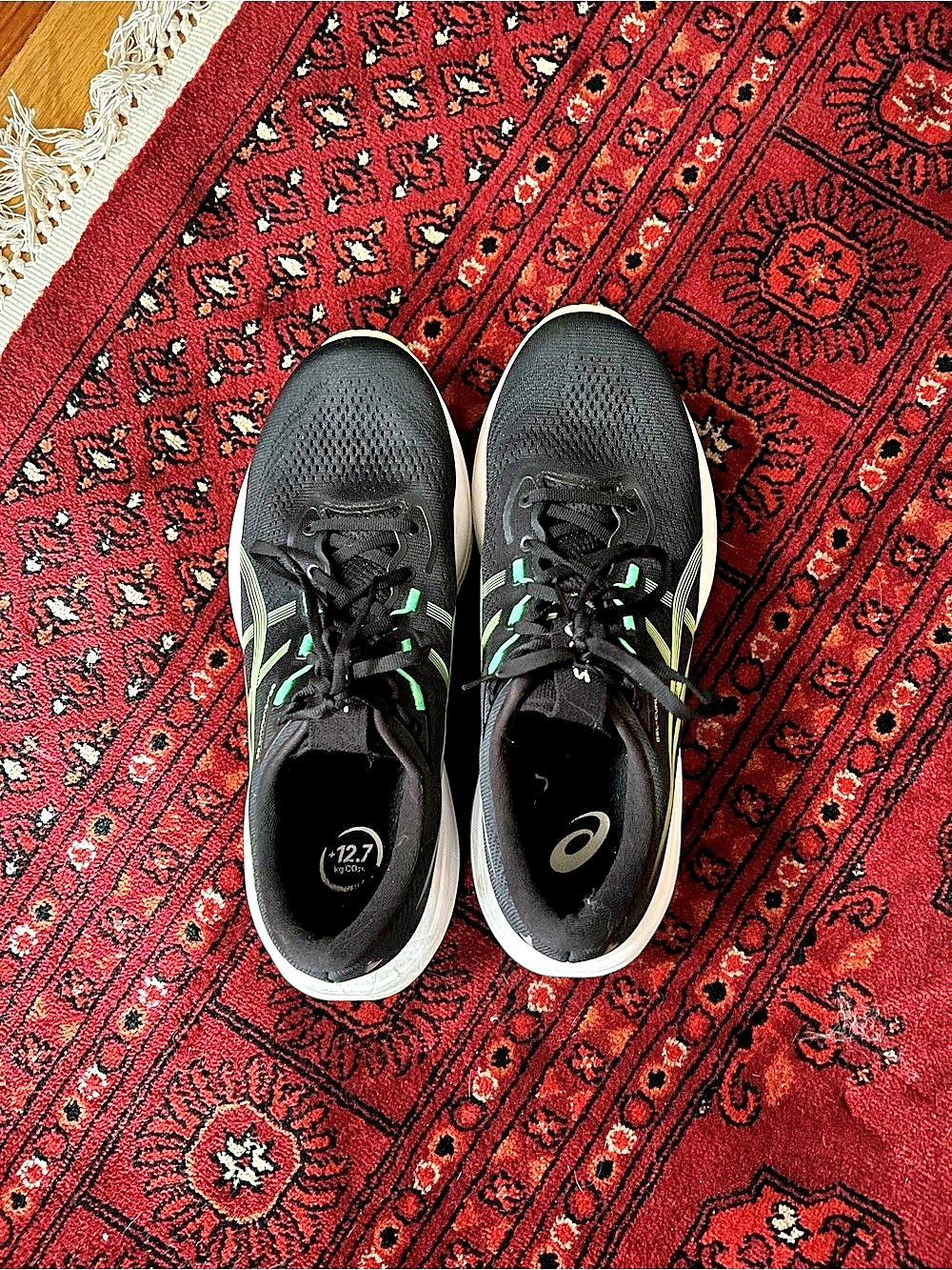 ASICS Gel-Cumulus 28 Running Shoes - 50 miles